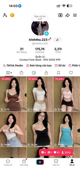 trinhthu.223
