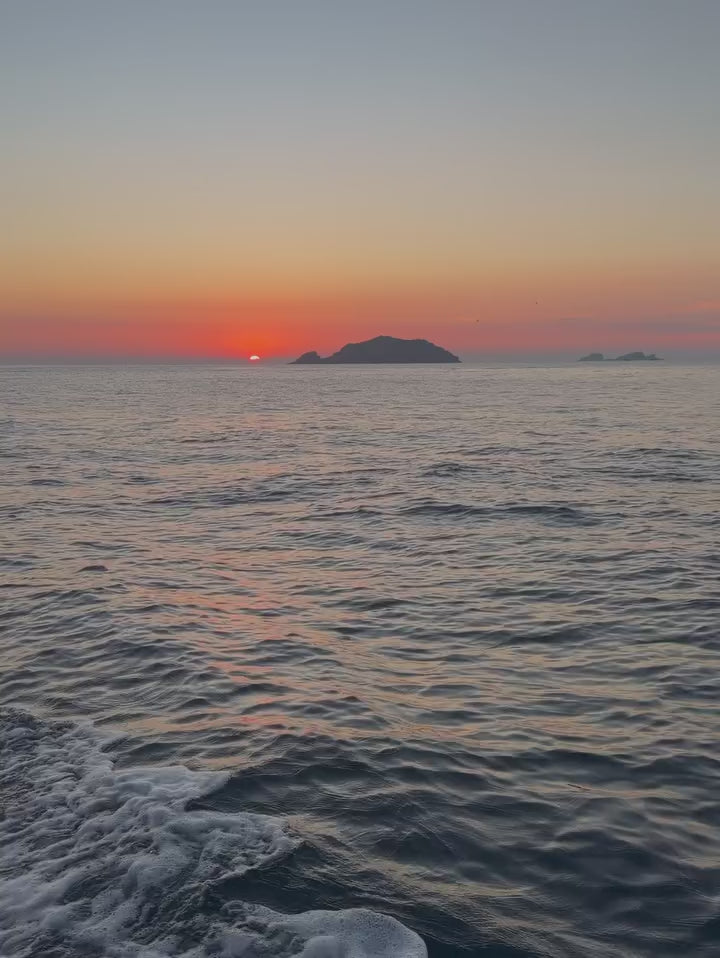 Love Sea